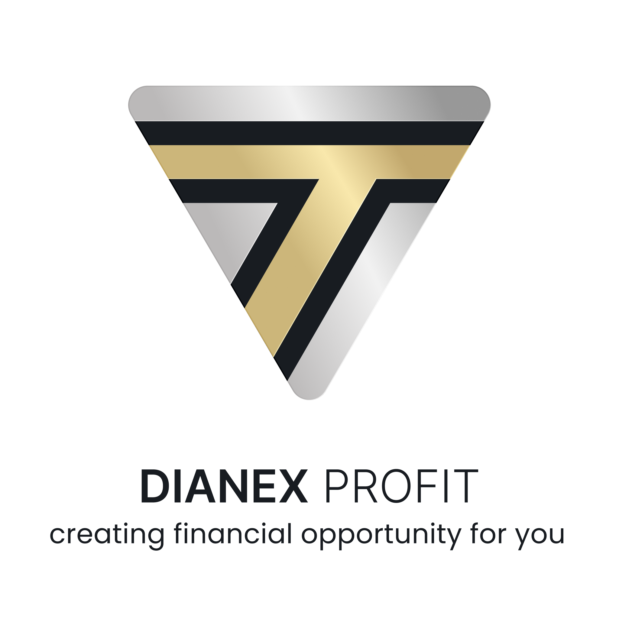 Dianexprofit